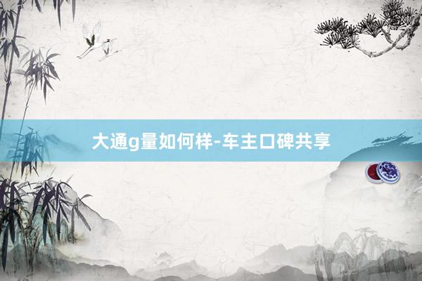 大通g量如何样-车主口碑共享