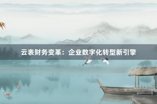 云表财务变革：企业数字化转型新引擎