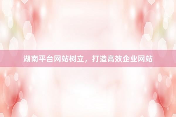 湖南平台网站树立，打造高效企业网站
