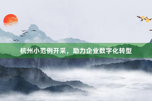 杭州小范例开采，助力企业数字化转型