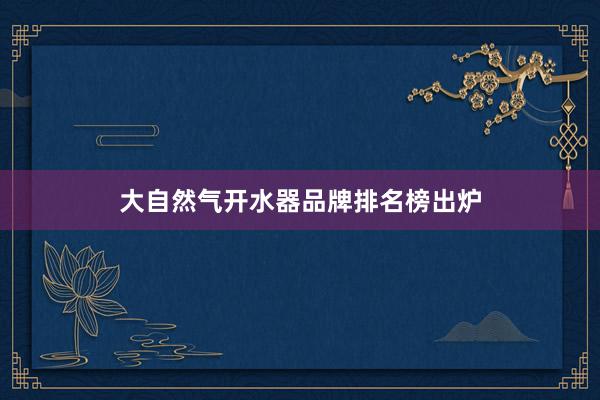 大自然气开水器品牌排名榜出炉